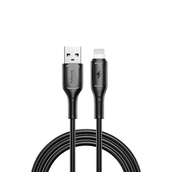 WIWU Wi-C042E USB To IP